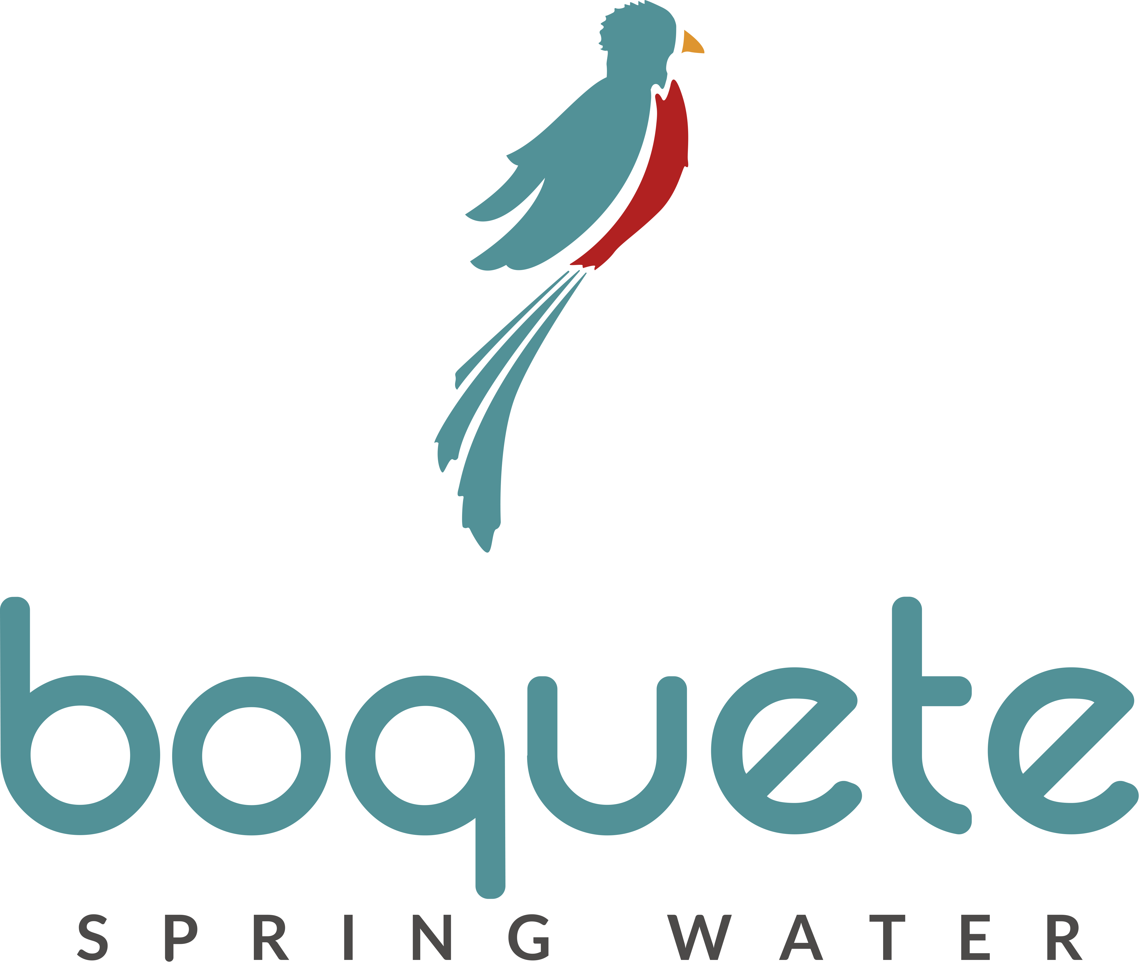 Boquete Spring Water